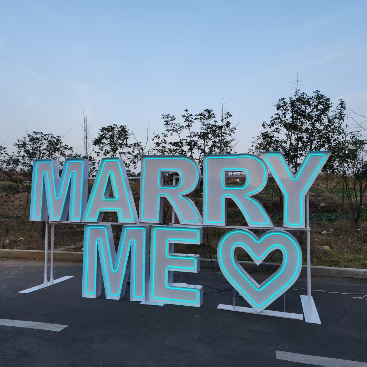 MARRY ME Enseigne lumineuse LE - Event Party Supply Rental avis et prix