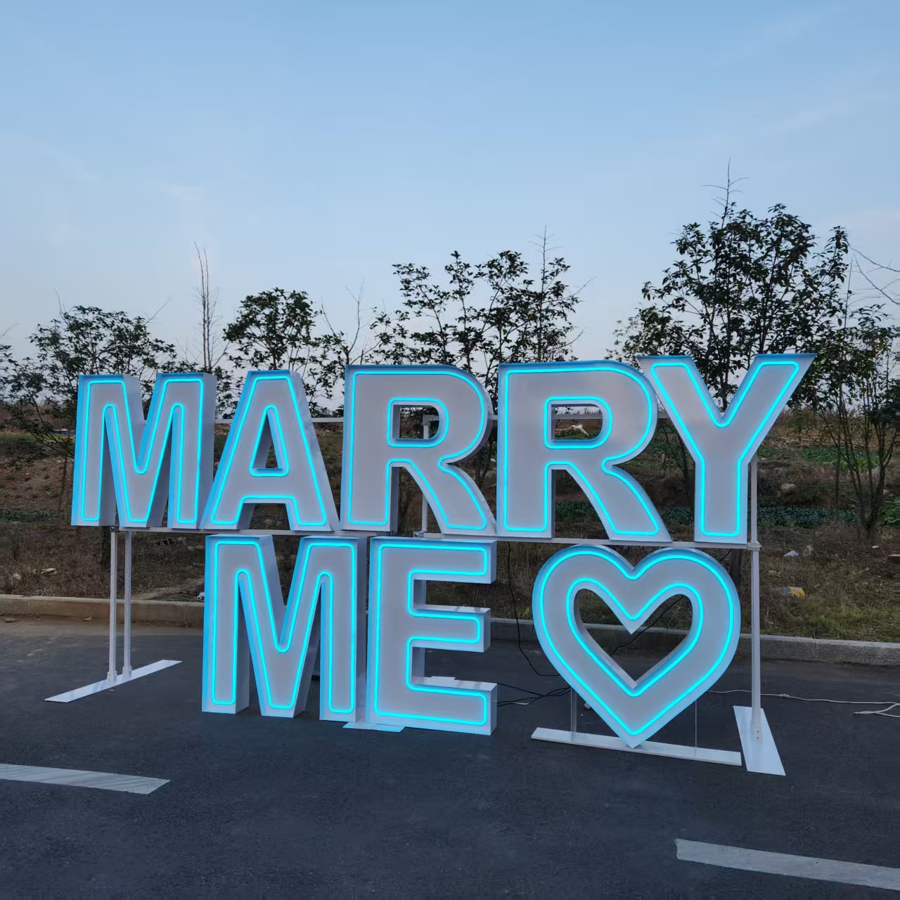 MARRY ME Enseigne lumineuse LE - Event Party Supply Rental avis et prix